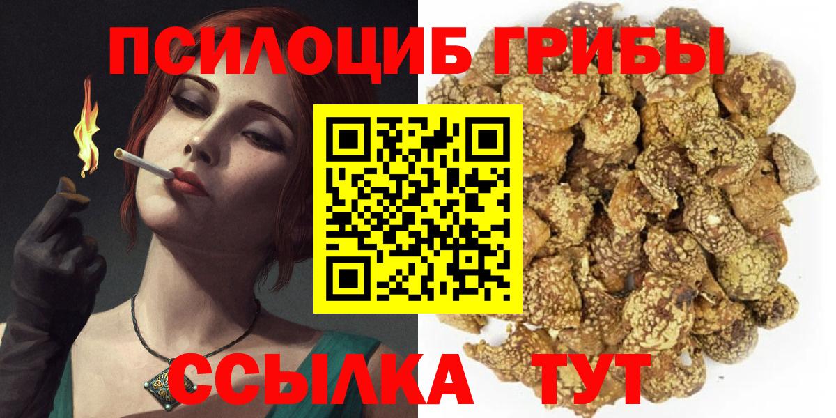 Копейск  Галлюциногенные грибы Magic Shrooms  Вход с VPN  Галлюциногенные грибы мухоморы 